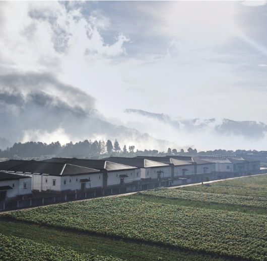 "The House Above the Clouds"